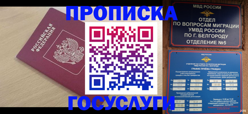 прописка законно в Ленинградской области